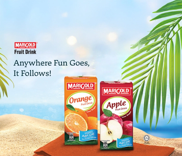 Anywhere Fun Goes It Follows!